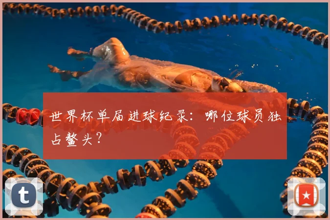 世界杯单届进球纪录:哪位球员独占鳌头?