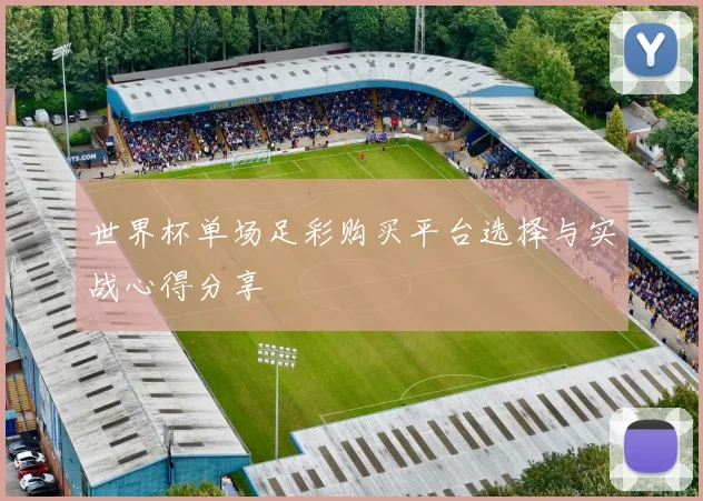 世界杯单场足彩购买平台选择与实战心得分享