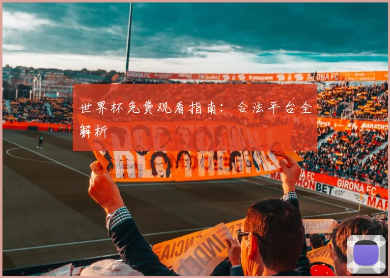 世界杯免费观看指南:合法平台全解析
