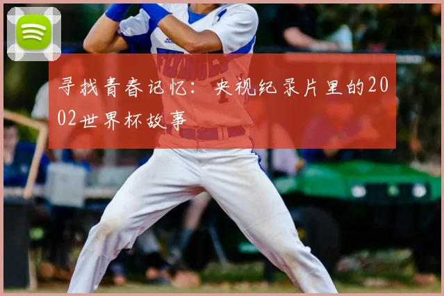 寻找青春记忆:央视纪录片里的2002世界杯故事