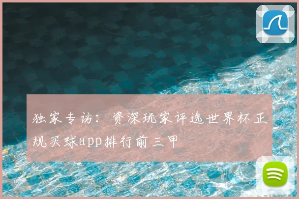 独家专访：资深玩家评选世界杯正规买球app排行前三甲