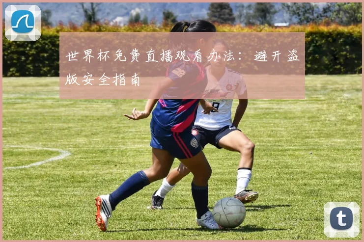 世界杯免费直播观看办法:避开盗版安全指南