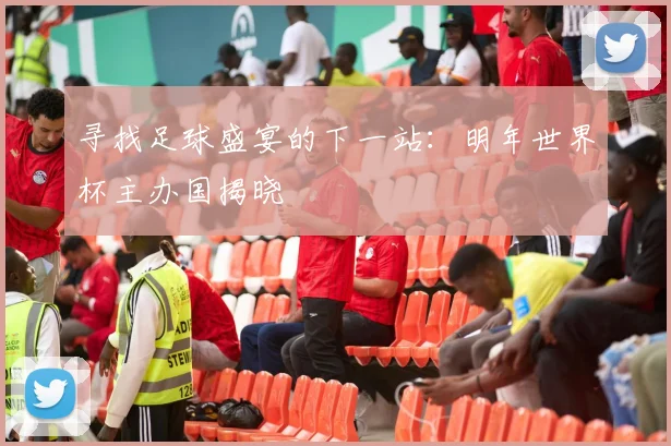 寻找足球盛宴的下一站:明年世界杯主办国揭晓