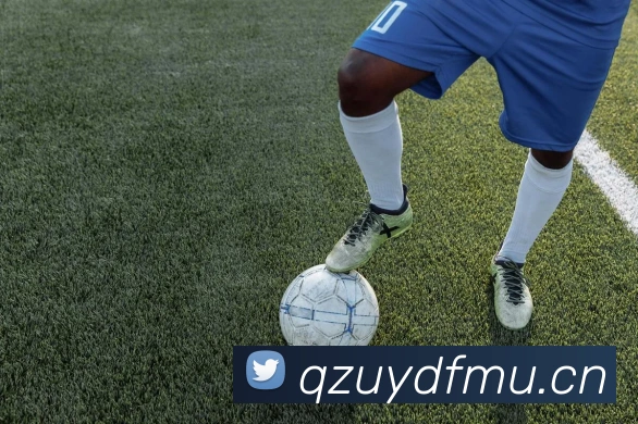 多媒体互动体验